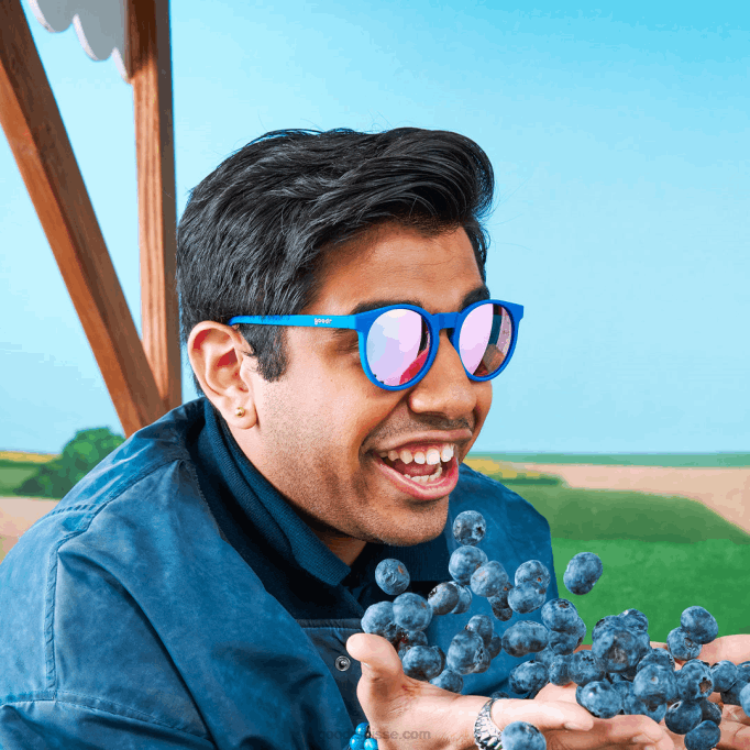 bleuets, exhausteurs de muffins Goodr 00PN91